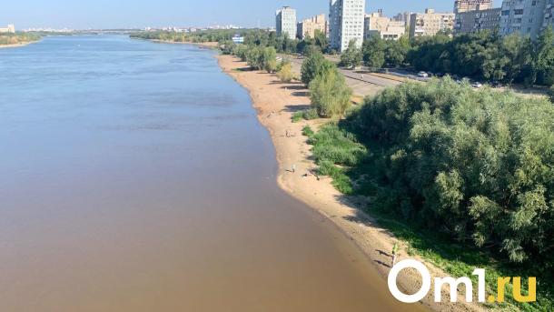 С приходом жары в Омской области за сутки утонули два человека