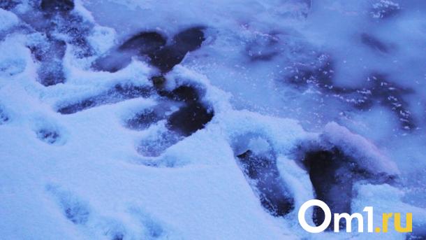 В Омске дорожные службы продолжают готовиться к паводку