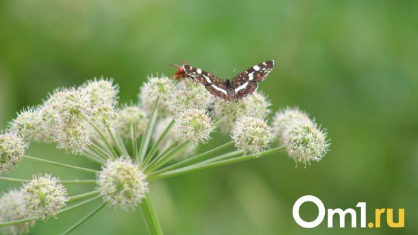 Почему наши предки боялись мутных родников 22 апреля? Тайный код Вадима Ключника