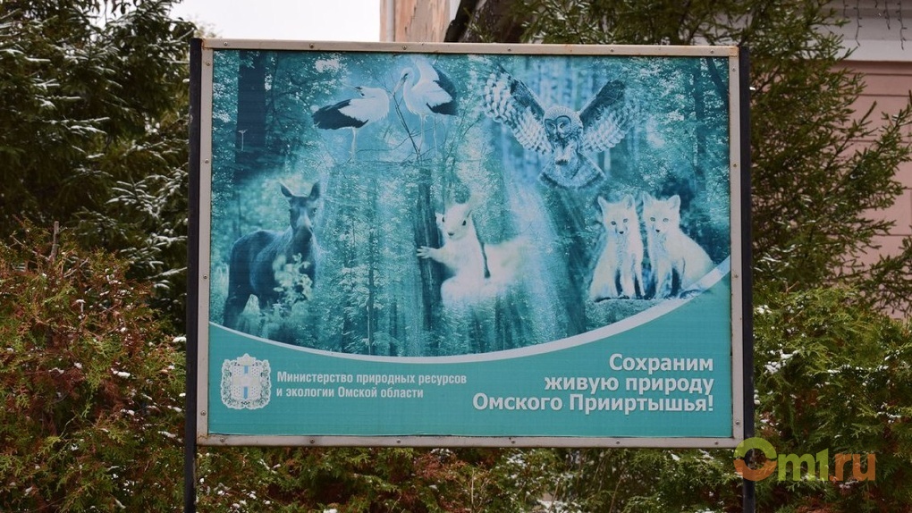В Омской области ассенизаторы сливают отходы куда хотят