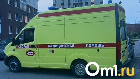 В Омске ребёнок разбился насмерть, скатившись с перил