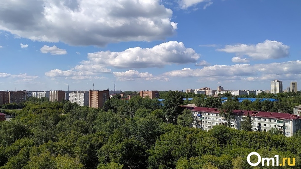 В Ленинском округе Омска случились выбросы яда с наркотическим эффектом