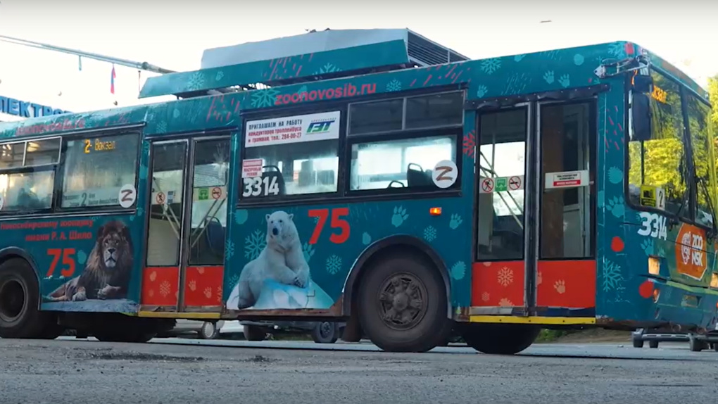 Новосибирский зоопарк запустил брендированные троллейбусы с изображениями животных. ВИДЕО