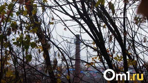 Омичей предупредили о штормовом ветре до 30 апреля