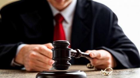 В Новосибирске живодёр предстанет перед судом за жестокое убийство собаки