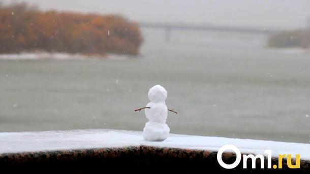 До -18 °C: в Новосибирске ожидаются сильные заморозки