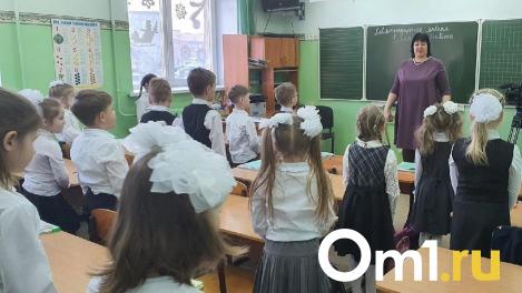 Большое количество учеников создаёт нехватку учителей в школах Новосибирска