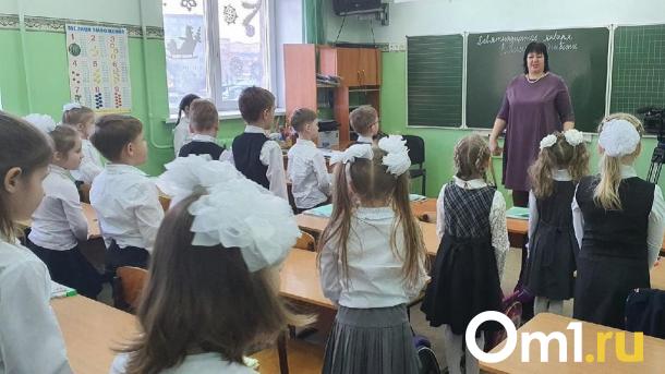 Большое количество учеников создаёт нехватку учителей в школах Новосибирска