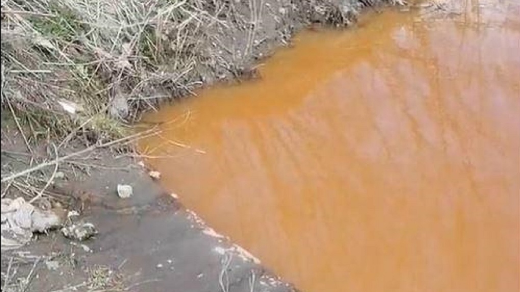 Росприроднадзор назвал источник загрязнения реки Каменки в Новосибирской области