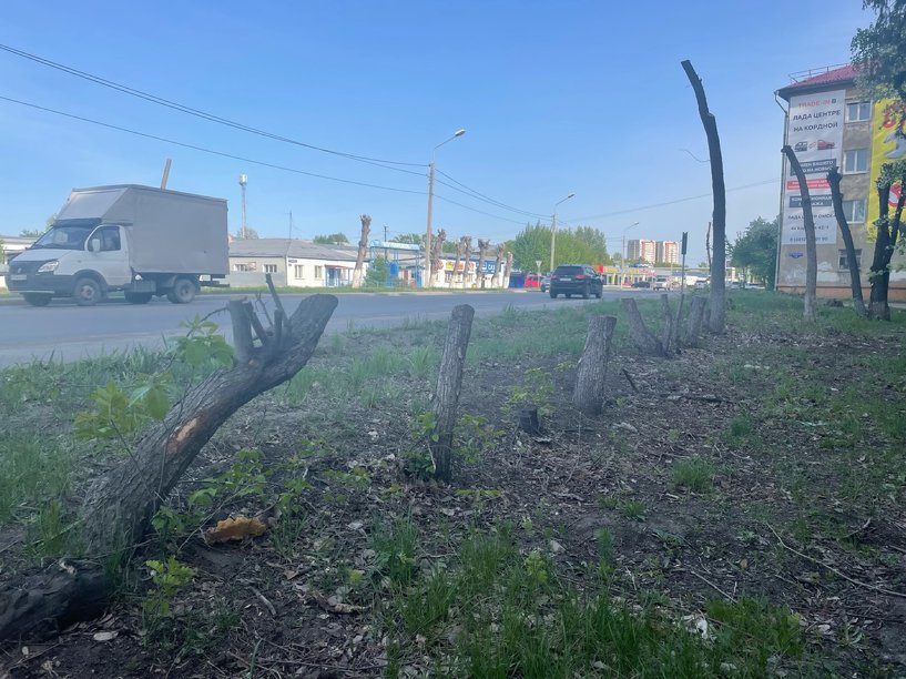 Изображение фоторепортажа