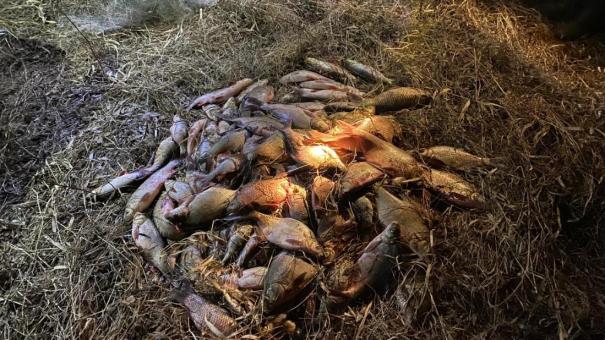 В Новосибирске задержаны более 200 рыбаков за незаконный лов