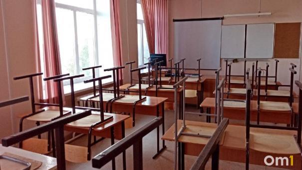 Омским школьникам предложили кардинально сократить уроки обществознания