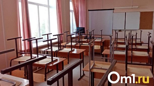 Омским школьникам предложили кардинально сократить уроки обществознания