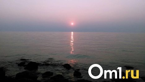 Тонувшего в котловане мальчика из Новосибирска вытащили спасатели