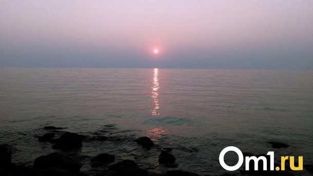 Тонувшего в котловане мальчика из Новосибирска вытащили спасатели