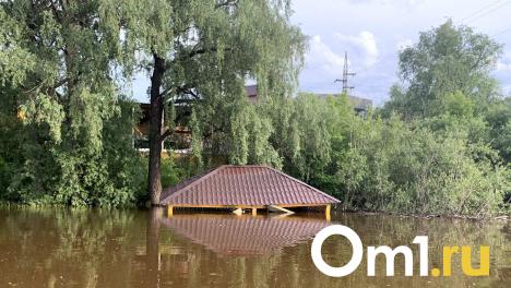 Чтобы Омск не затопило, из него нужно вывезти 38 тысяч кубометров снега
