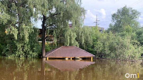 Чтобы Омск не затопило, из него нужно вывезти 38 тысяч кубометров снега