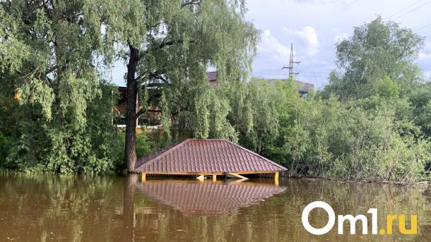 Чтобы Омск не затопило, из него нужно вывезти 38 тысяч кубометров снега