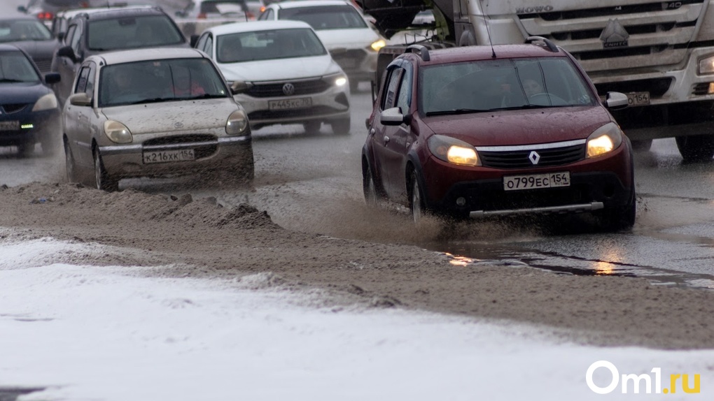 Опубликован список улиц Новосибирска, которые станут посыпать «Бионордом»