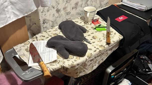 Суд отправил в СИЗО жительницу Новосибирска, убившую свекровь и ранившую сына