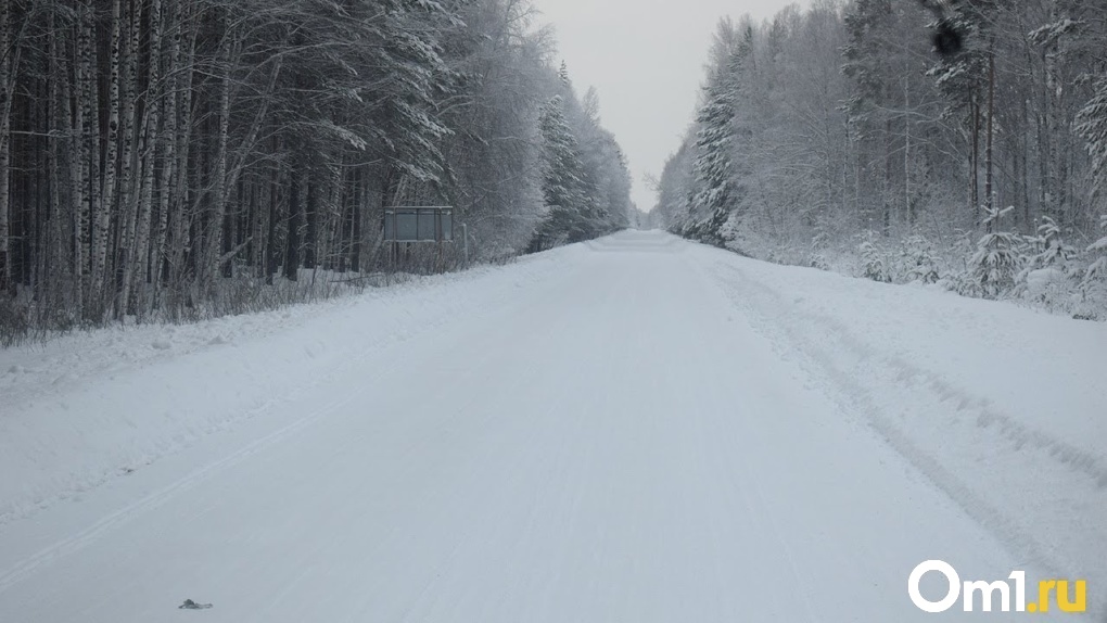 Тепло в Омск придёт вместе с метелью и снегом