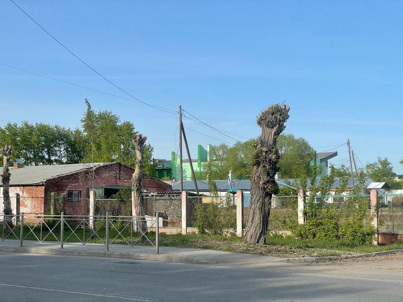 Изображение фоторепортажа