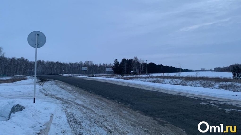 Движение междугороднего транспорта ограничили в Новосибирской области из-за метели