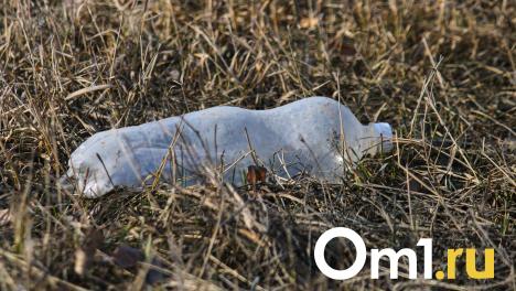 Со спутника видно: омский пруд пожирает незаконная свалка