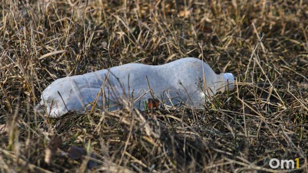 Со спутника видно: омский пруд пожирает незаконная свалка