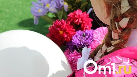 Как записать ребёнка в 1-й класс в Омске онлайн