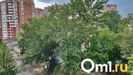 Закрывайте окна! Омичей предупреждают о попадании в квартиры шаровых молний