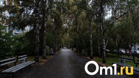 Самайн 2023 или «Новый год ведьм»: что это такое и какого числа наступит