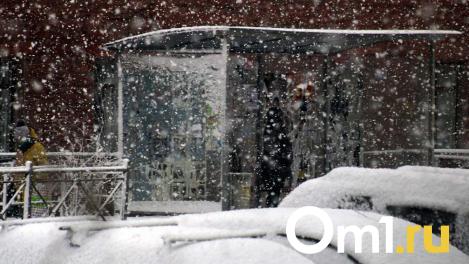 Омичей ждёт неделя снегопадов