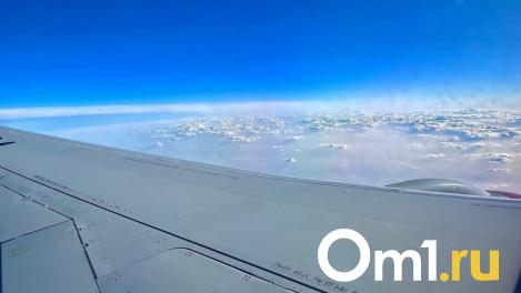 СК завершает расследование дела о посадке самолёта в поле под Новосибирском