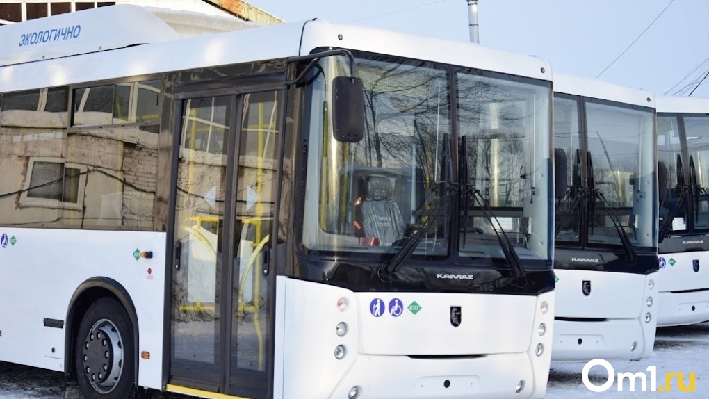 Омская антимонопольная служба отменила аукцион на поиск перевозчика для автобусного маршрута №42