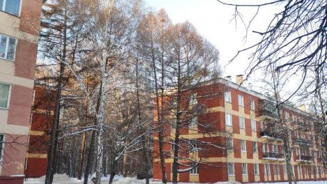 Сильные морозы сменит резкое потепление в Новосибирске 24 февраля