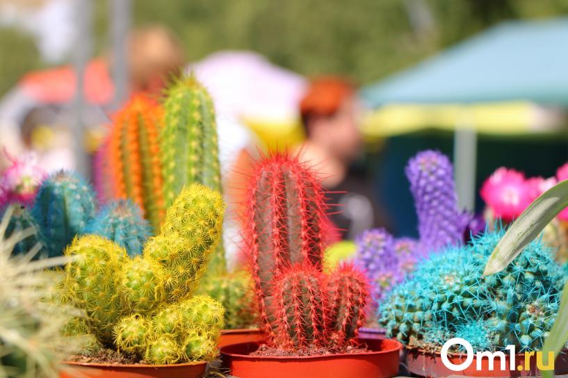 Изображение фоторепортажа