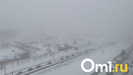 Опасный снегопад накрыл Омск