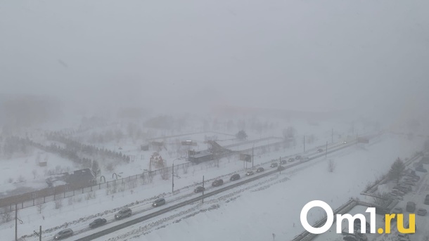 Опасный снегопад накрыл Омск