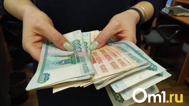 Сразу семь краж произошло за сутки в Омской области