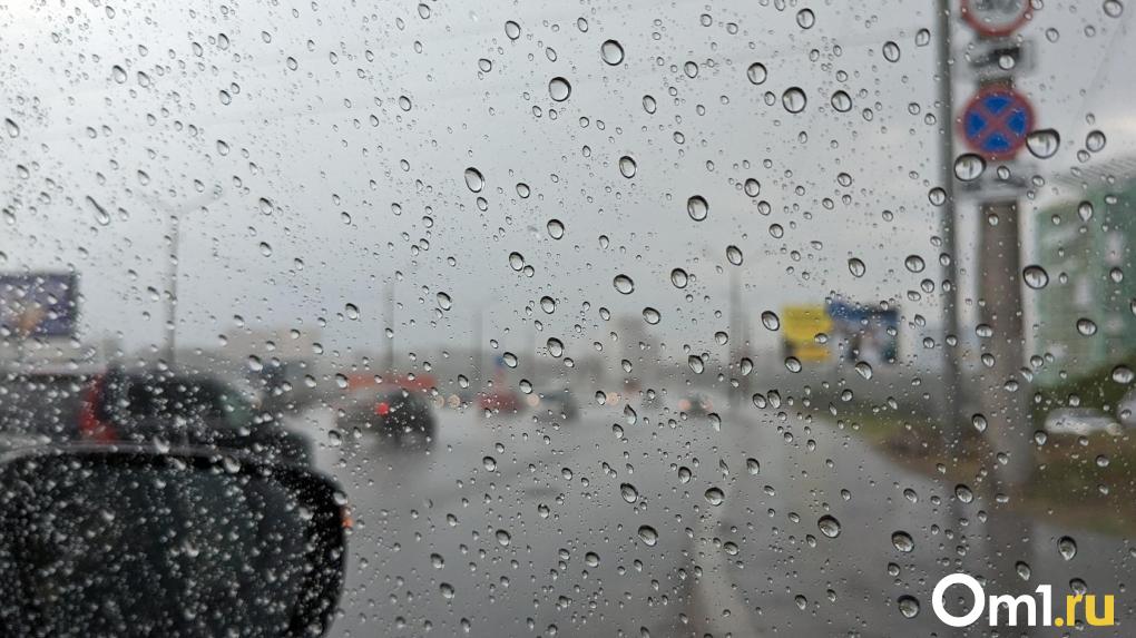 В Омске объявлено предупреждение: надвигается гроза и штормовой ветер