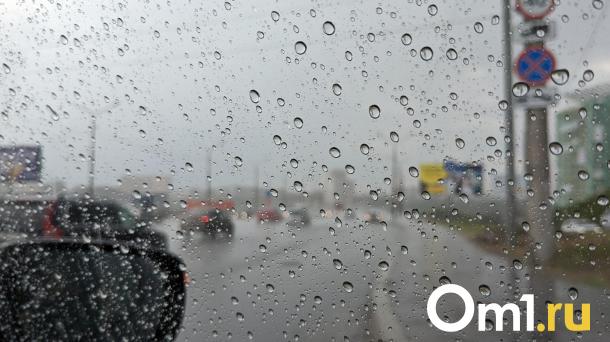 В Омске объявлено предупреждение: надвигается гроза и штормовой ветер