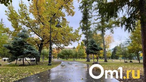 Антициклон с Урала принесёт в Омскую область потепление в начале сентября