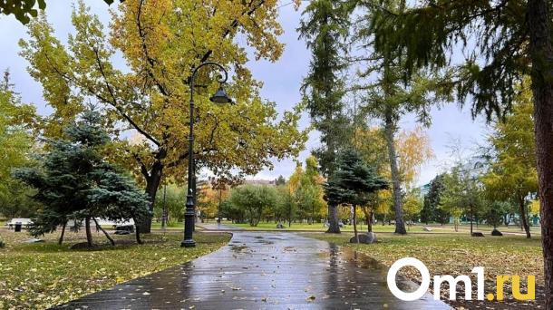 Антициклон с Урала принесёт в Омскую область потепление в начале сентября