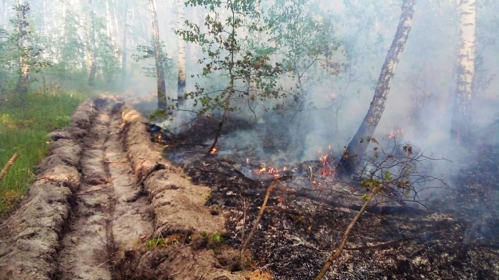 В Омской области из-за удара молнии возник лесной пожар