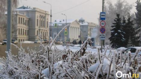 После новогодних праздников омичей ждёт резкое похолодание и сильный ветер