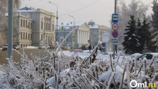 После новогодних праздников омичей ждёт резкое похолодание и сильный ветер