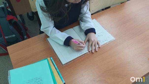 В Новосибирске пятиклассницу поставили на учёт в ПДН из-за подозрительных записей в тетради