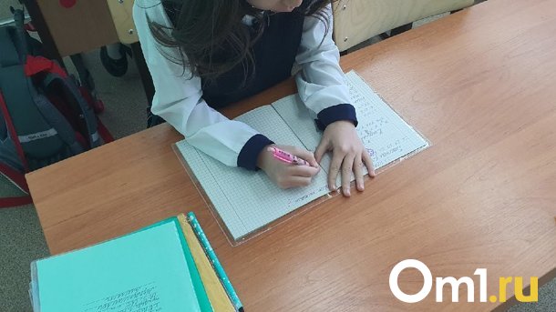 В Новосибирске пятиклассницу поставили на учёт в ПДН из-за подозрительных записей в тетради