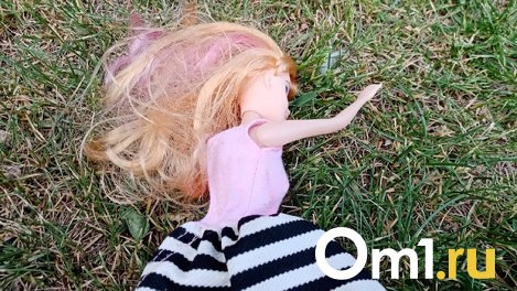 В Омске возбуждено уголовное дело из-за падения 9-летней девочки из окна в лагере